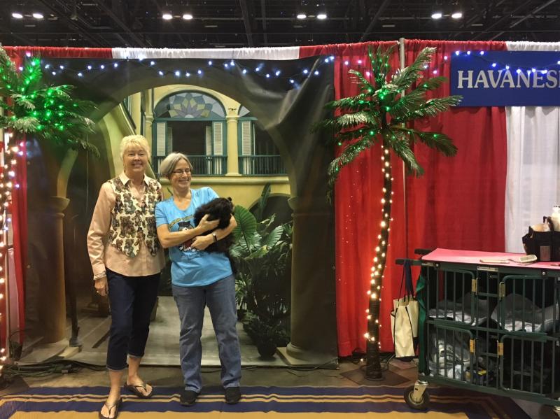 2017 Meet The Breed booth, AKC National Championship Orlando FL 